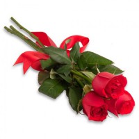 Rosas - buquê com 03 rosas